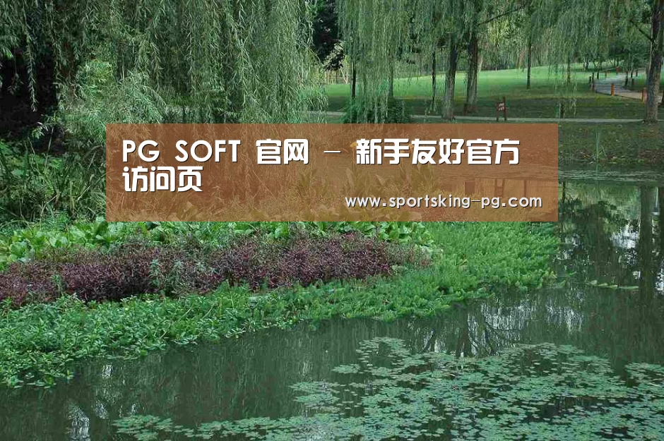 案例展示一(图1)