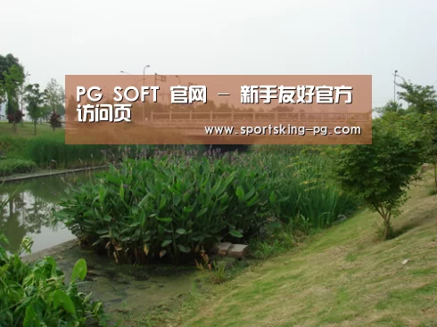 案例展示四(图1)