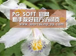 产品名称二