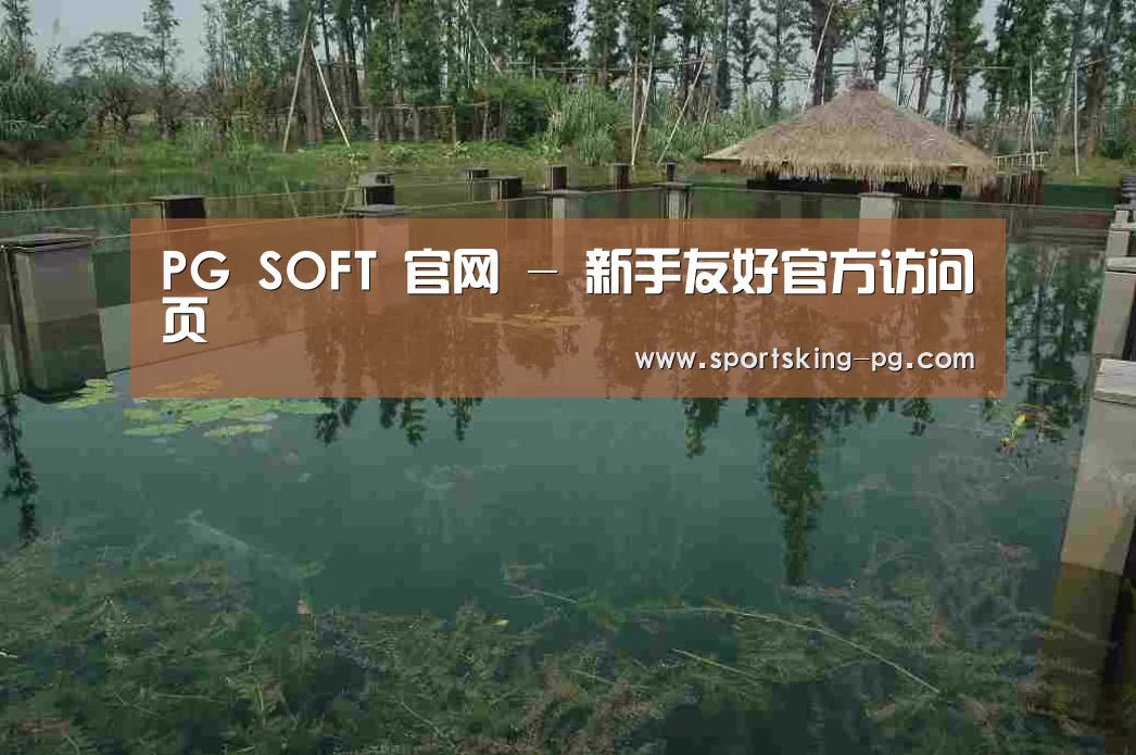 案例展示二
