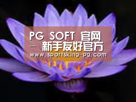 产品名称六
