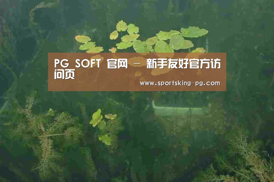 案例展示三
