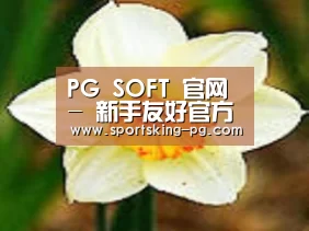 产品名称四