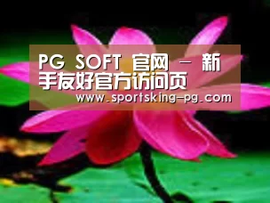 产品名称五