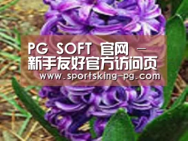 产品名称八
