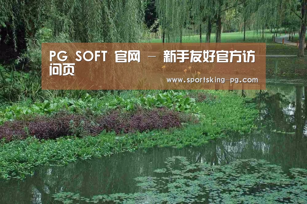 案例展示一