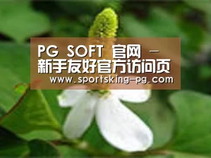 产品名称三
